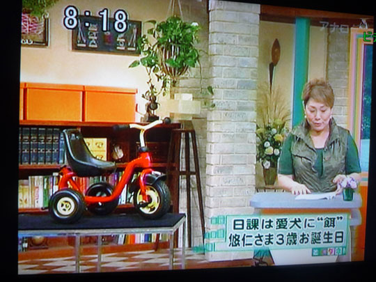 http://www.hyakuchomori.pics/blog2/i/090907_tokudane_5.jpg
