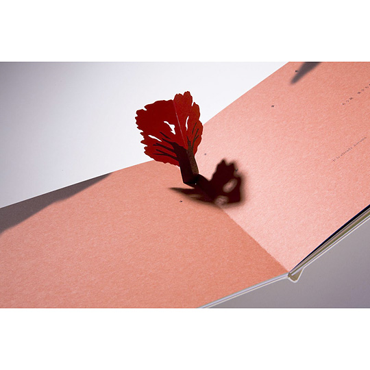 Little tree�F�@