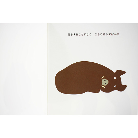 LUCKY WILD PIG�F�@