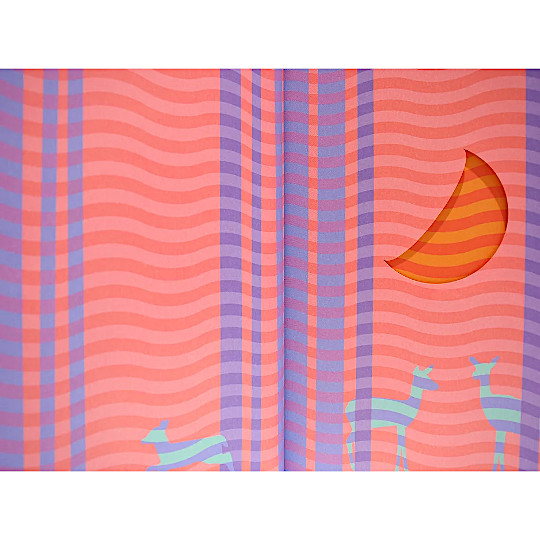 MOON PHASE ���̖��������F