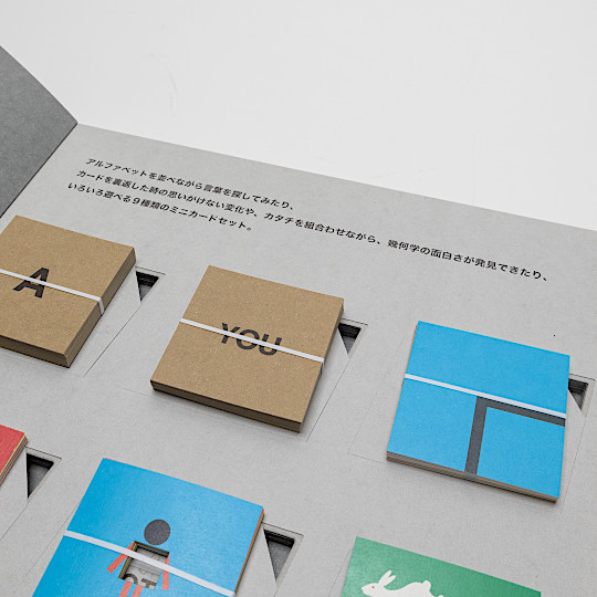 FRONT & BACK MINI CARD SET�F�@