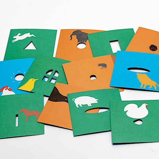 FRONT & BACK MINI CARD SET�F�@