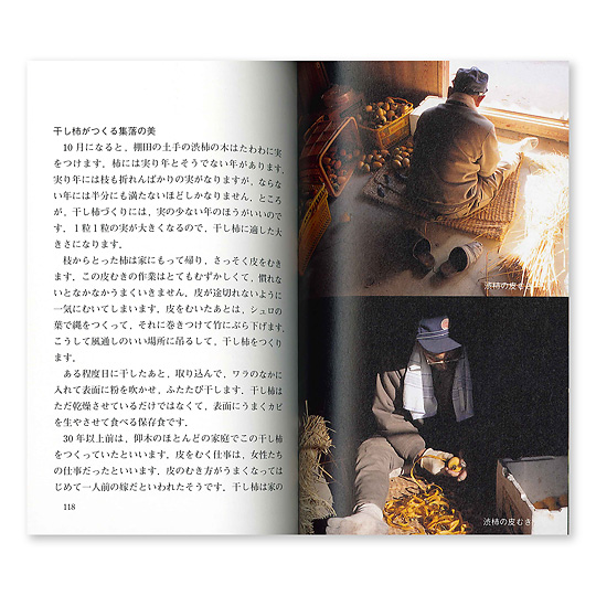 �J���[�Ł@ ���R��������F�a�`�̔�ނ�