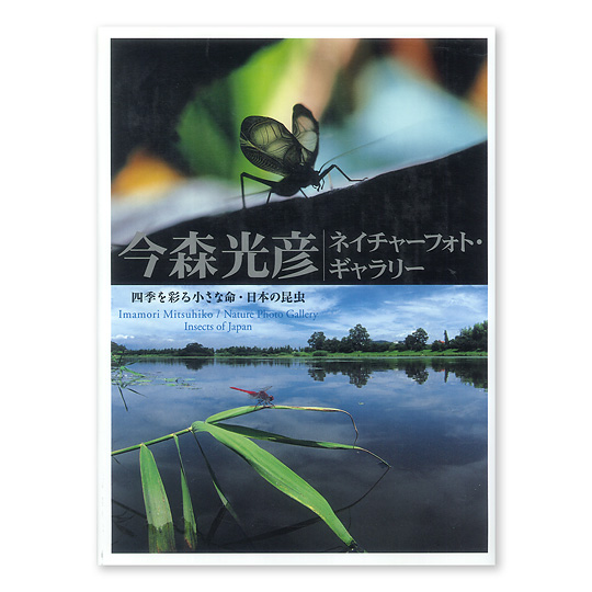 �l�G���ʂ鏬���Ȗ��E���{�̍����F���C���摜