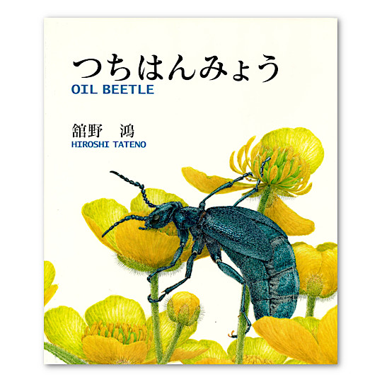���͂�݂傤�F���C���摜