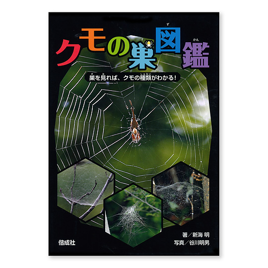�N���̑��}�ӁF���C���摜