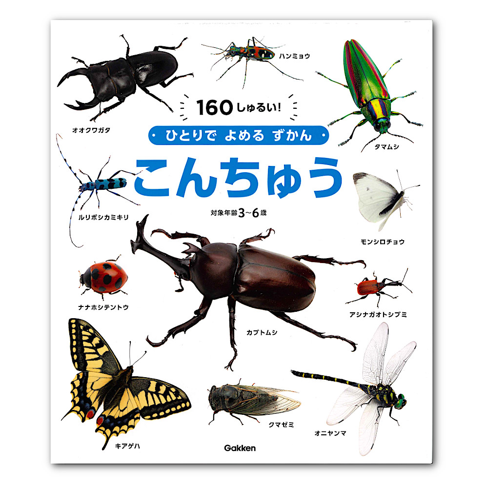 �ЂƂ�ł�߂邸����u���イ�v�F���C���摜