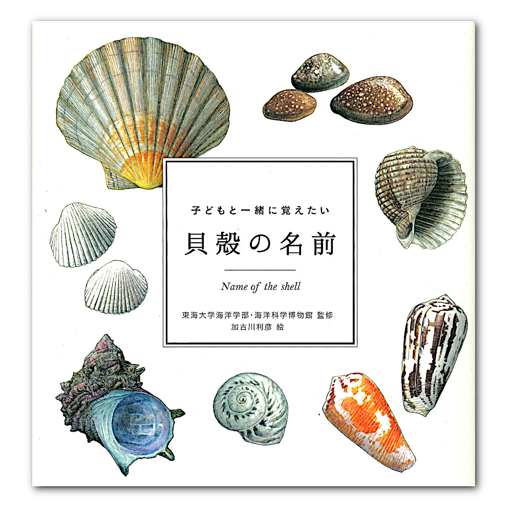 �q�ǂ��ƈꏏ�Ɋo������ �L�k�̖��O�F���C���摜