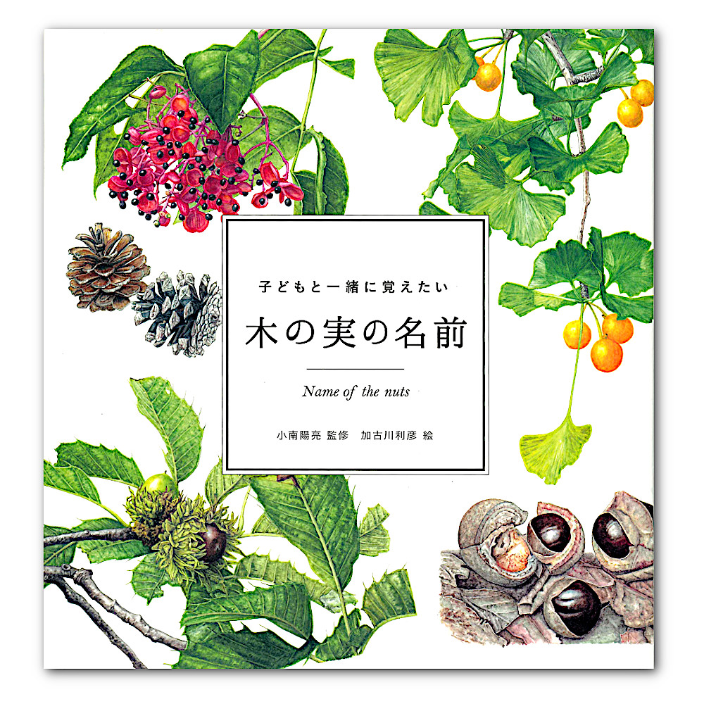 �q�ǂ��ƈꏏ�Ɋo������ �̎��̖��O�F���C���摜