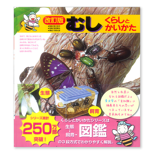 �ނ��@���炵�Ƃ��������F���C���摜