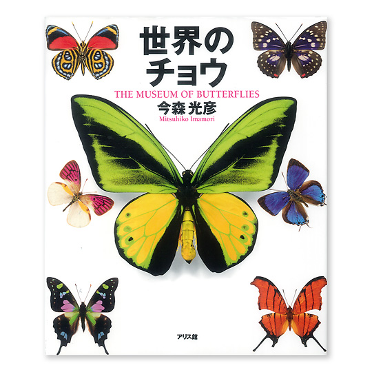 ���E�̃`���E�F���C���摜
