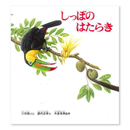 �����ۂ̂͂��炫�F���C���摜