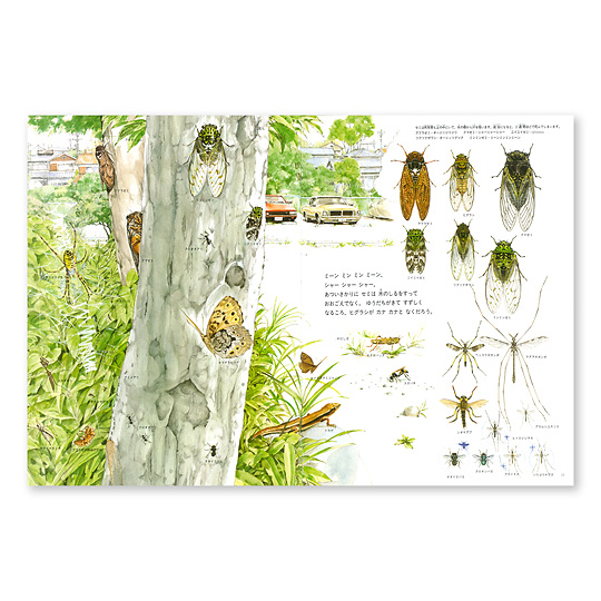�Ă̒� �ẲԁF�@