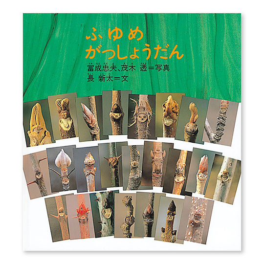 �ӂ�߂������傤����F���C���摜