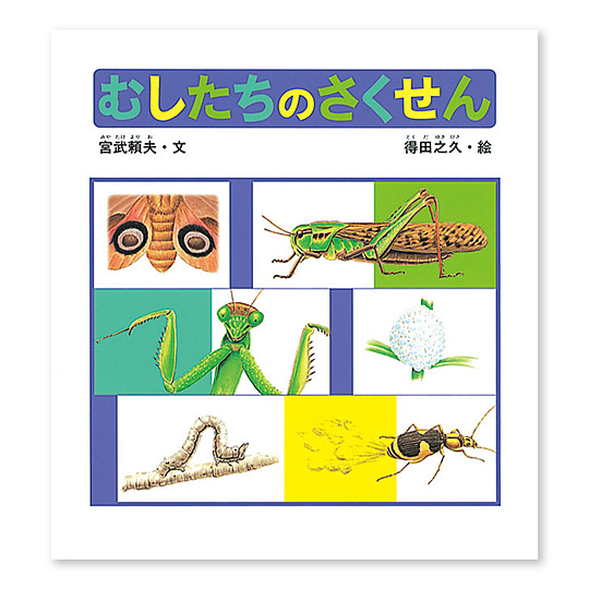 �ނ������̂�������F���C���摜
