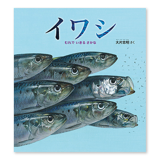 �C���V�F���C���摜