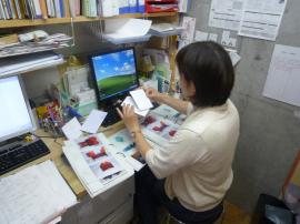 100610_file.jpg�̃T���l�[���摜