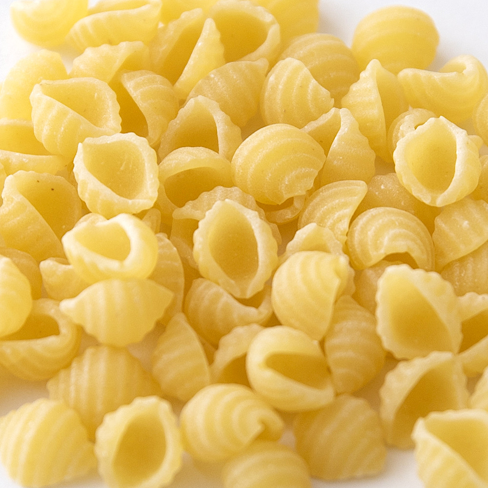 �I�[�K�j�b�N�x�r�[�p�X�^ �~�j�V�F��(�H�i)�F�@