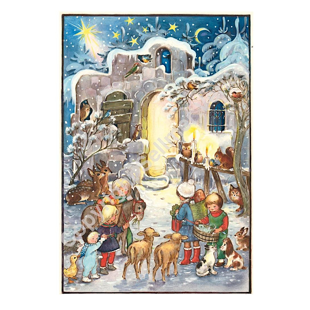 SEL70154�A�h�x���gB4 �����ȓ��������F���C���摜