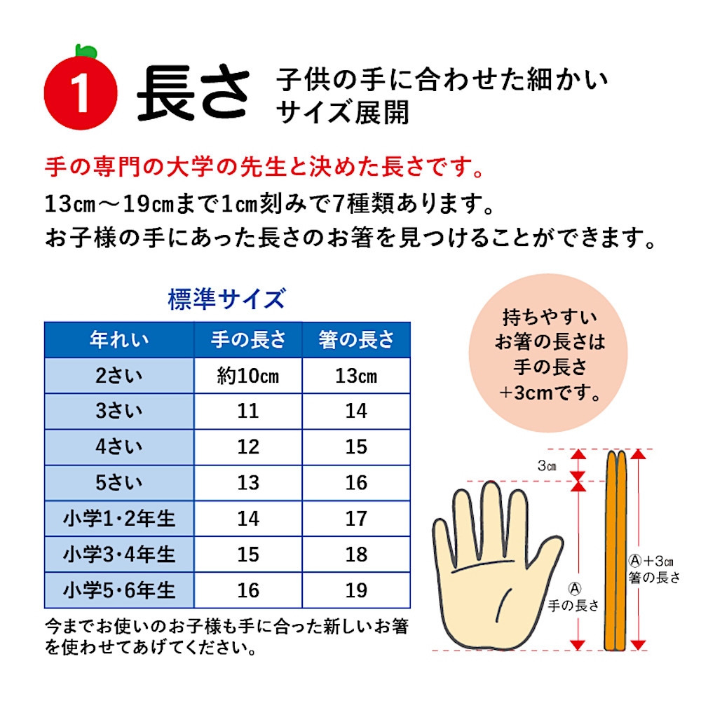 �Z�p�͂��@���w�Z��w�N�p�i17cm�j���d�グ�F