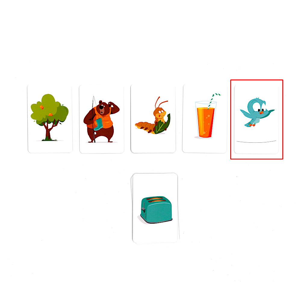 �ǂꂪ��������́H�^�悭�݂Ă����I�H�F