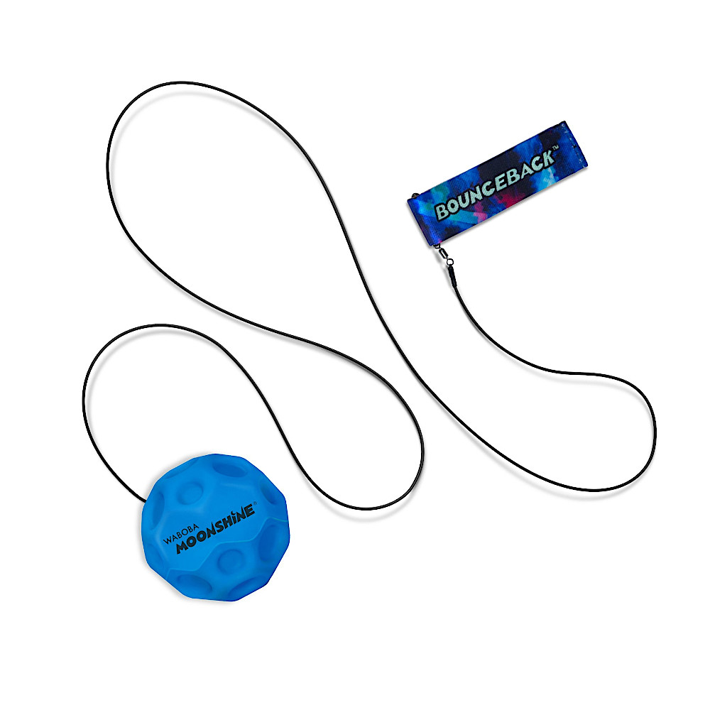 LED���[���{�[���o�E���X�o�b�N�F�@
