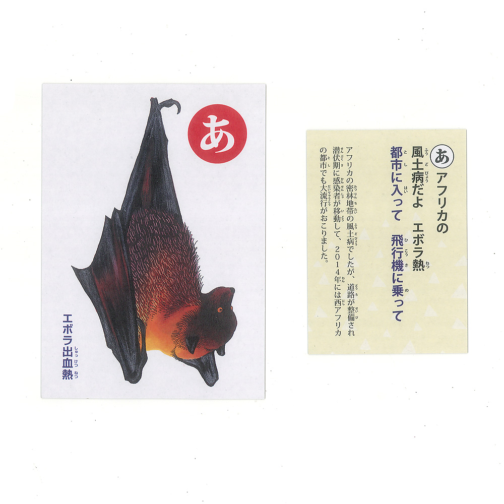 �����ǃJ���^?����a�C�̔閧?�F�G�D�͓ǎD�̂Q�{�̑傫��