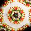 �J�[������̖��؋��F