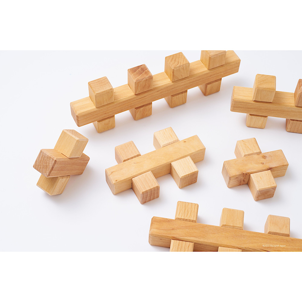 �v���X�r���f�B���O�u���b�N12PCS�F