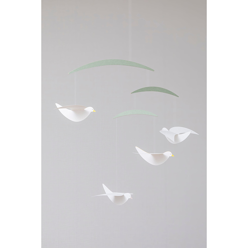 ���r�[�� Bird�F���C���摜