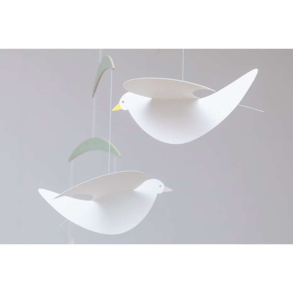 ���r�[�� Bird�F�@