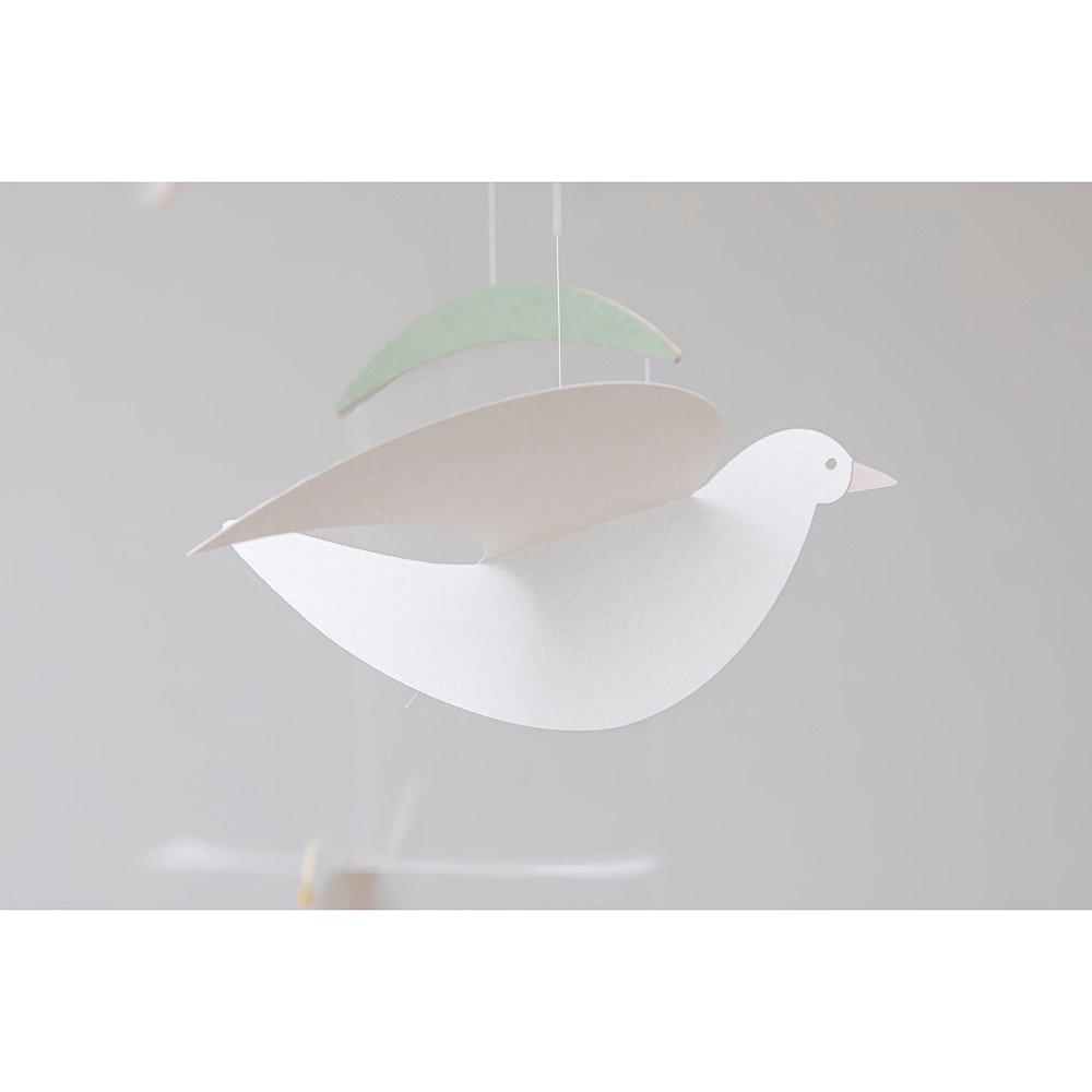 ���r�[�� Bird�F�@