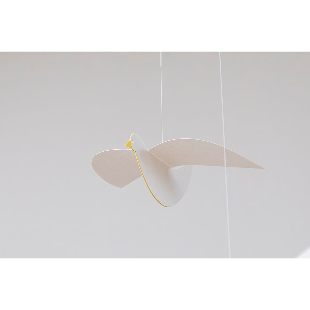 ���r�[�� Bird�F�@