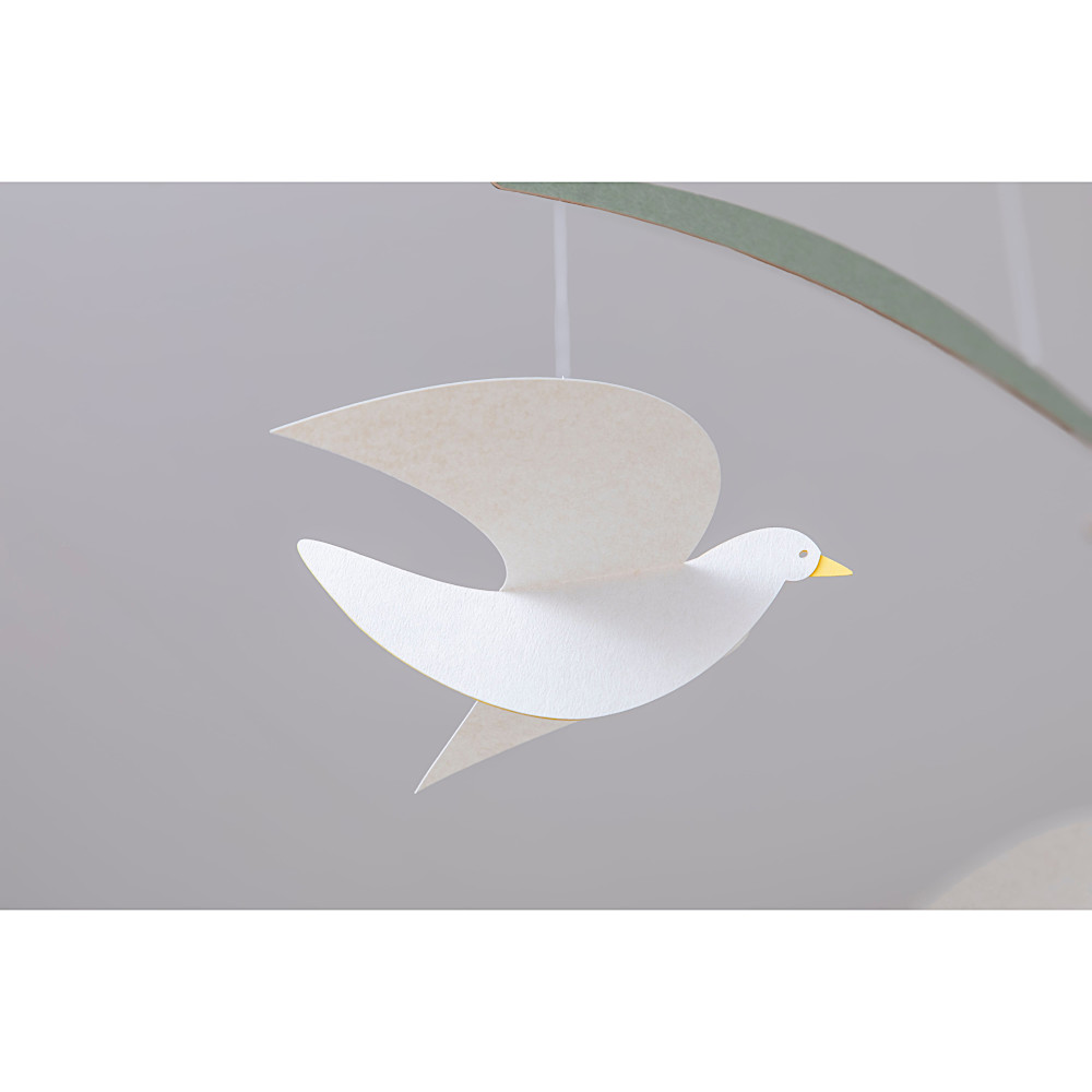 ���r�[�� Bird�F�@
