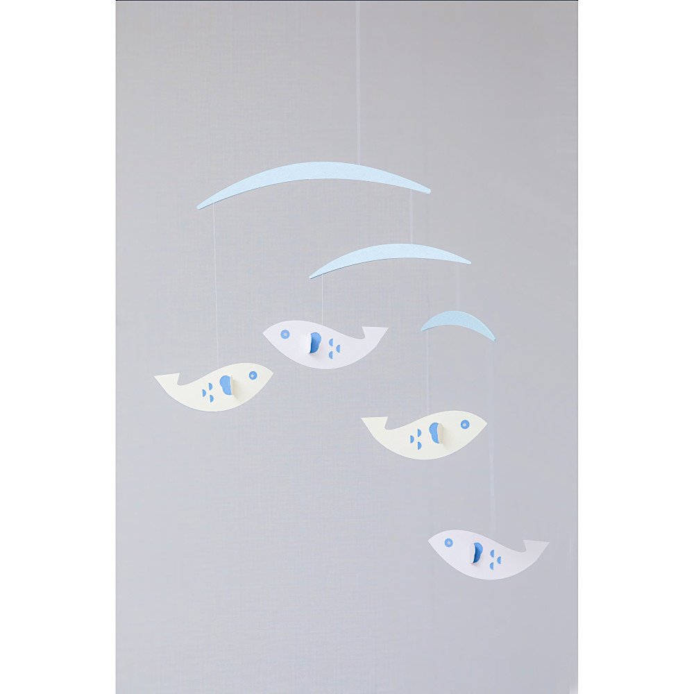 ���r�[�� Fish�F���C���摜