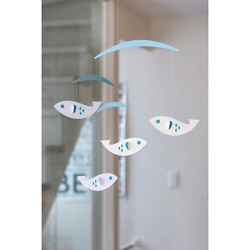 ���r�[�� Fish�F�@