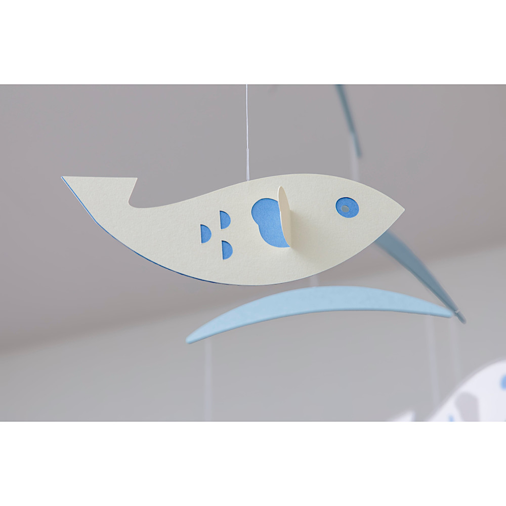 ���r�[�� Fish�F�@