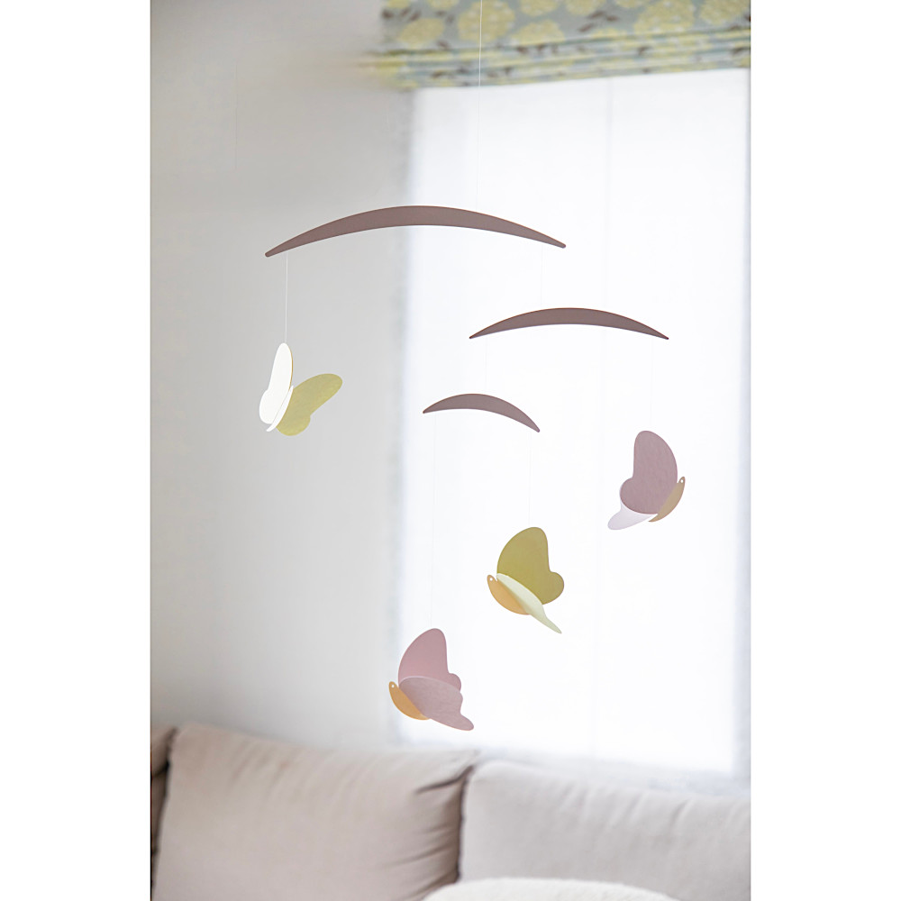 ���r�[�� Butterfly�F�@
