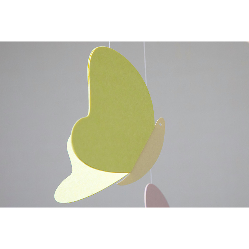 ���r�[�� Butterfly�F�@