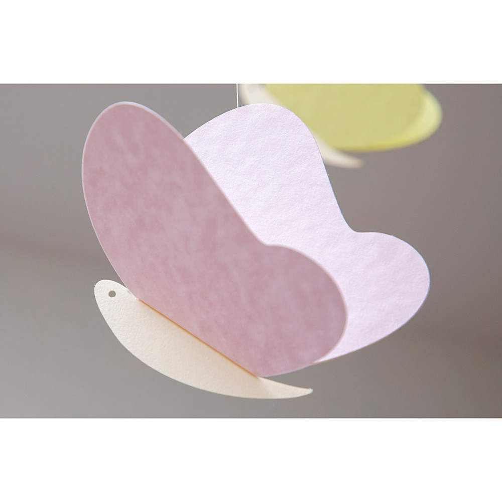 ���r�[�� Butterfly�F�@