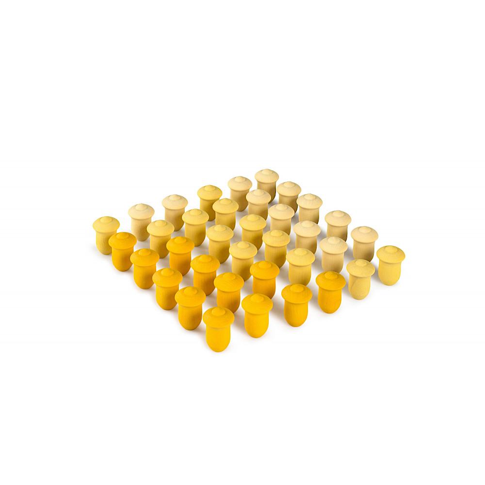 22-240 �܂�`���[���b�v�F���C���摜