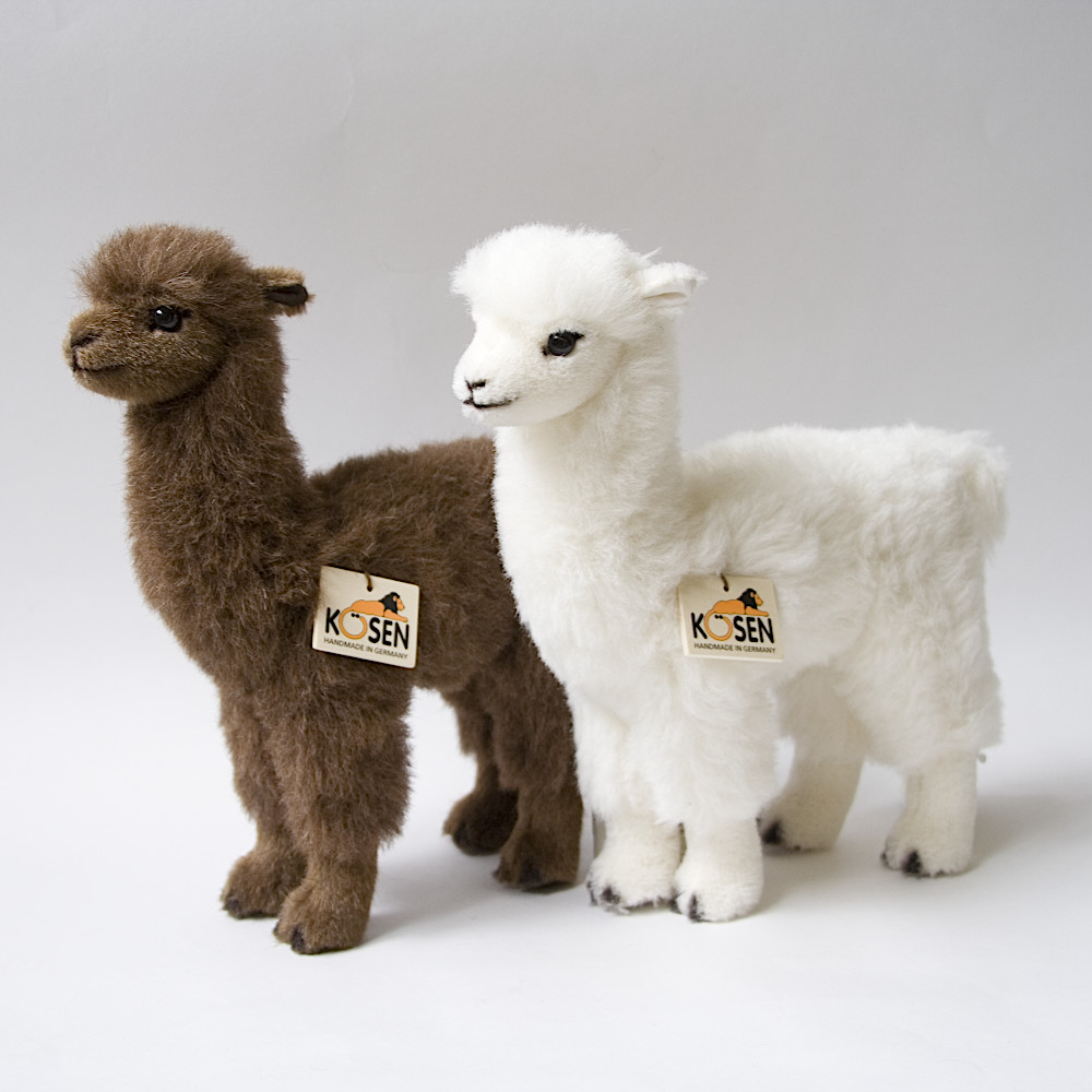 5610 �A���p�J ���F