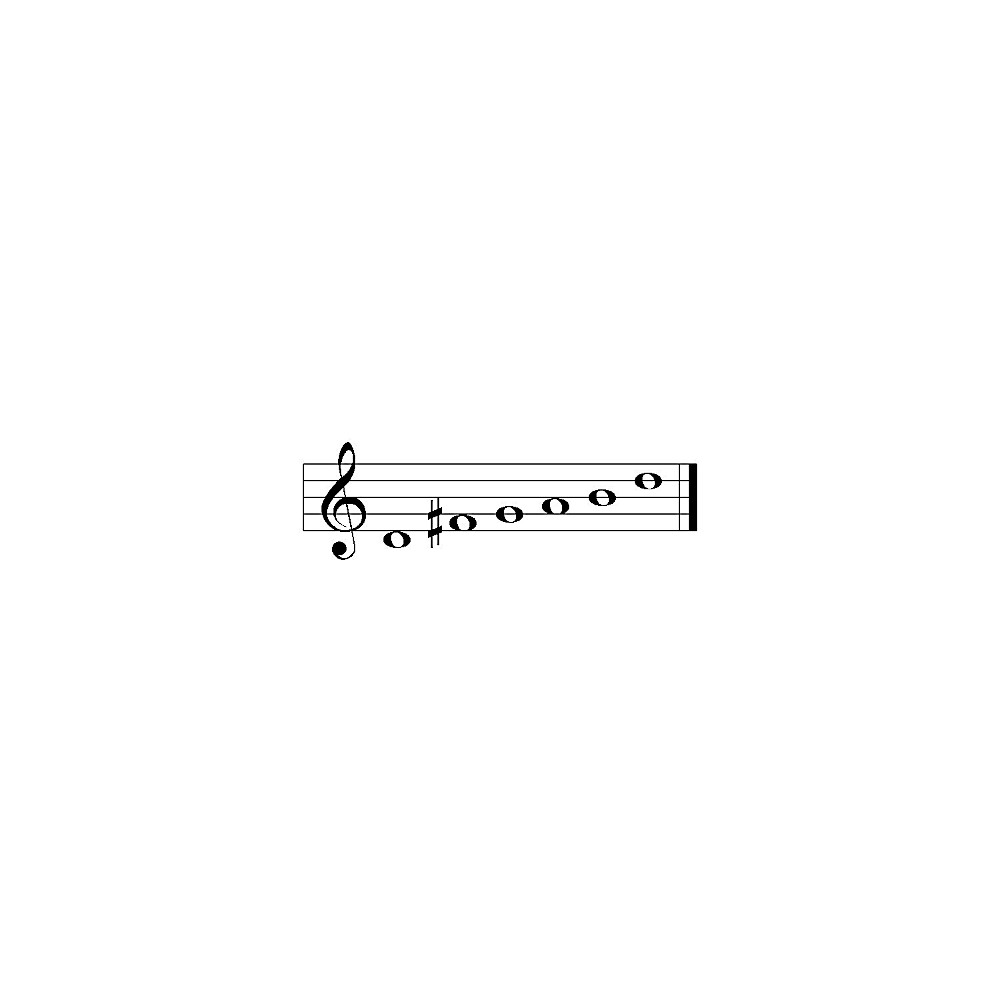 N24-1 �p�b�w���x���E�J�m���F